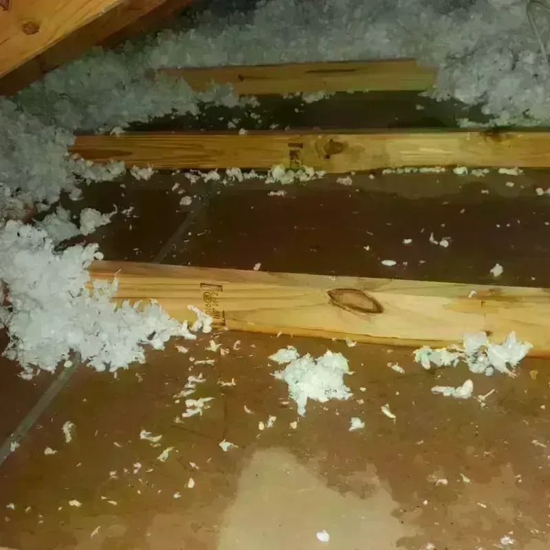 Attic Water Damage in Roseland, CA